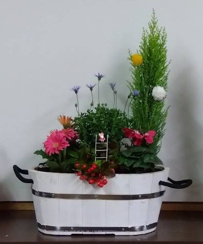 画像：冬の“寄せ植え”教室